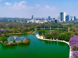 Qué hacer en CDMX este fin de semana del 6 al 8 de febrero: Semana del Arte, ferias, cine y más