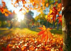 Toussaint en France : quelle météo ?