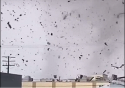 Raro tornado vicino Los Angeles provoca danni e feriti: video