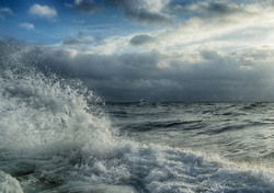 Rekord-Niedrigwasser in der Ostsee: Werden seltene Strömungen nun den Sauerstoffgehalt verändern?