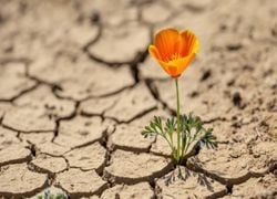 Resiliencia climática: ¿hasta qué punto podemos sobrevivir a catástrofes extremas?