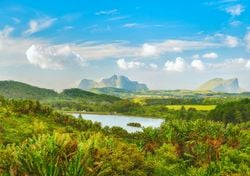 Ritorno dall’orlo dell’estinzione: avvistato l’ultimo erede del dodo