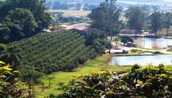 Rota turística do café no interior de SP conecta a bebida com natureza, história e gastronomia; conheça