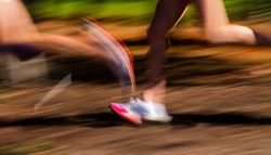 Runner’s High: Warum es im Körper eine cannabisähnliche Wirkung entfaltet – auch bei Marathon und Ultramarathon