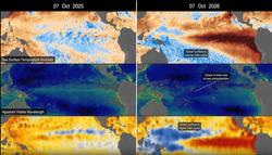 Los satélites de la NASA observan el histórico e intenso El Niño de 2026 sobre variables marinas de las aguas cálidas