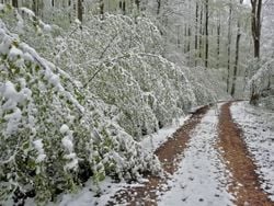 Schnee bis ins Flachland Anfang April? US-Wettermodell schockt mit Kälteprognose