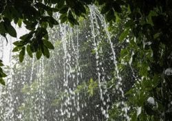 Se actualiza pronóstico para julio: las tormentas serán intensas, pero disminuirán con más calor en estas entidades