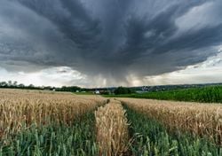 Se aproxima otra tarde con nubes de tormenta en varias comunidades del interior y norte peninsular