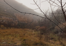 ¡Atención! Lluvias y nieve en seis regiones de Chile la próxima semana