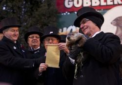 ¿Seis semanas más de invierno en Estados Unidos? La marmota Phil advierte más frío y Miami tirita en una racha histórica