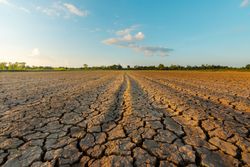 Grave sequía y crisis hídrica se apoderan de Uruguay