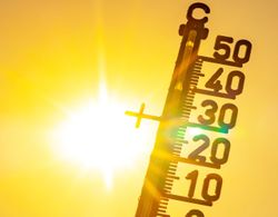 Sieht übel aus" Experten warnen: Extrem trockener Winter erhöht massiv die Gefahr für Dürre und extreme Hitze im Sommer