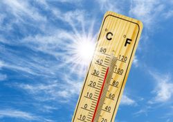 Sommer 2020: Die große Hitze bleibt aus!
