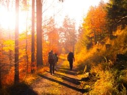 Bis 26°C und Sonnenschein- Wie lange bleibt der Altweibersommer?