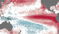 El fenómeno del super El Niño alcanza un récord de 3,4 °C: "nunca se había observado algo así en la serie histórica