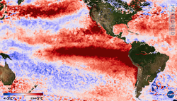 Última hora del Super El Niño: el pronóstico del IRI de septiembre refuerza un pico excepcional de 3,5 °C