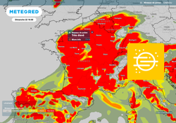 Taux de pollen très élevés : entre demain et dimanche, ils atteindront des sommets dans ces régions de France
