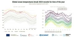 Las temperaturas diarias de la superficie del mar a nivel mundial baten récords para la época del año, según Copernicus