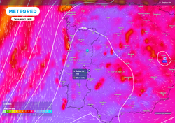 Preocupante onda de calor: 