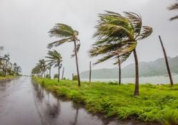 Tempestade Yakecan e alertas de ventos intensos. Pode virar furacão?