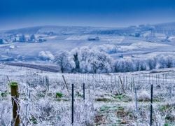 Météo en décembre : vers un retour du froid ?