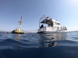 Tendencia de la acidificación del mar Balear