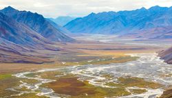 The 5 Most Surprising Natural Landscapes in the United States You Should Visit — From Deserts to Reefs