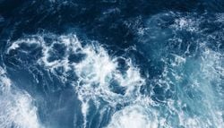Efecto Mariposa del fondo oceánico: qué es y cómo afecta al cambio climático según científicos de Cambridge.