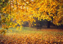 Todo lo que debes saber sobre el equinoccio de otoño... y algo más