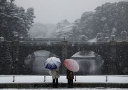 Tokio: más de 500 personas hospitalizadas por caidas en la nieve