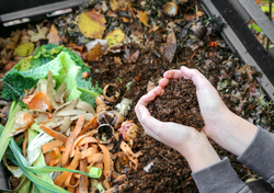 Tus plantas lo agradecerán: cómo fabricar compost en casa y para qué sirve