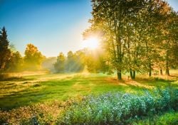 Astronomical spring brings warmest day of the year 