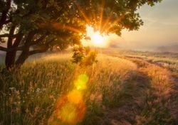 Britain splits between grey and sunshine