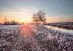 Big thaw begins, when will the snow melt?