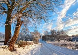 More snow with gales by the weekend