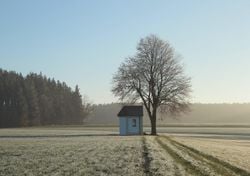 Who will be hit by northerly winds and wintry showers?