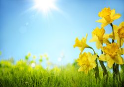 Spring arrives with sunny and mild weather, but is there cloud and rain on the horizon?