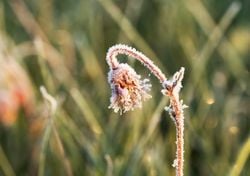 Um revés para a primavera em Portugal: previsão de massa de ar polar para a próxima semana