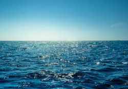 Allarme per un altro anno di riscaldamento eccezionale degli oceani
