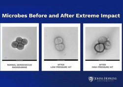 Un estudio sobre microbios respalda la idea de que la vida se pudo desplazar entre planetas en condiciones extremas