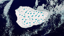 Un vagabundo inusual en el estrecho de Dinamarca: un iceberg con multitud de lagunas azules