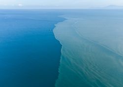 Una de las zonas más saladas del océano se está dulcificando: advierten de los impactos en la circulación termohalina