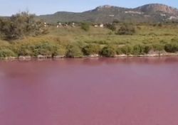 ¡Increíble! Una laguna de Cataluña se vuelve repentinamente de color rosa