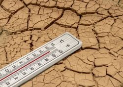 Update: 40 Grad im Sommer 2026 - So groß ist die Chance und diese Regionen trifft die Hitze zuerst