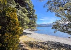 Vacaciones en Bariloche: guía completa de lagos turquesas y playas de montaña para visitar en verano