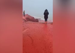 Vídeo sorprendente: el asombroso espectáculo natural de la Playa Roja de Ormuz, Irán, provocado por la lluvia