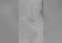 Una nevada histórica en Japón colapsa el transporte y deja a miles de personas atrapadas en Sapporo, aquí las imágenes