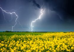 Expertin Schrey warnt vor gefährlichem Phänomen: Gewitter-Asthma! 