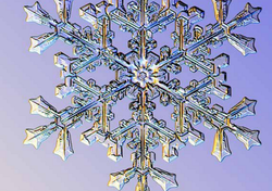 Warum zwei Schneeflocken nie identisch sein können – jedenfalls fast nie