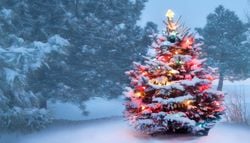 Was der 100-jährige Kalender für Weihnachten 2026 vorhersagt, lässt Winterfans schlucken – und dann kommt Silvester
